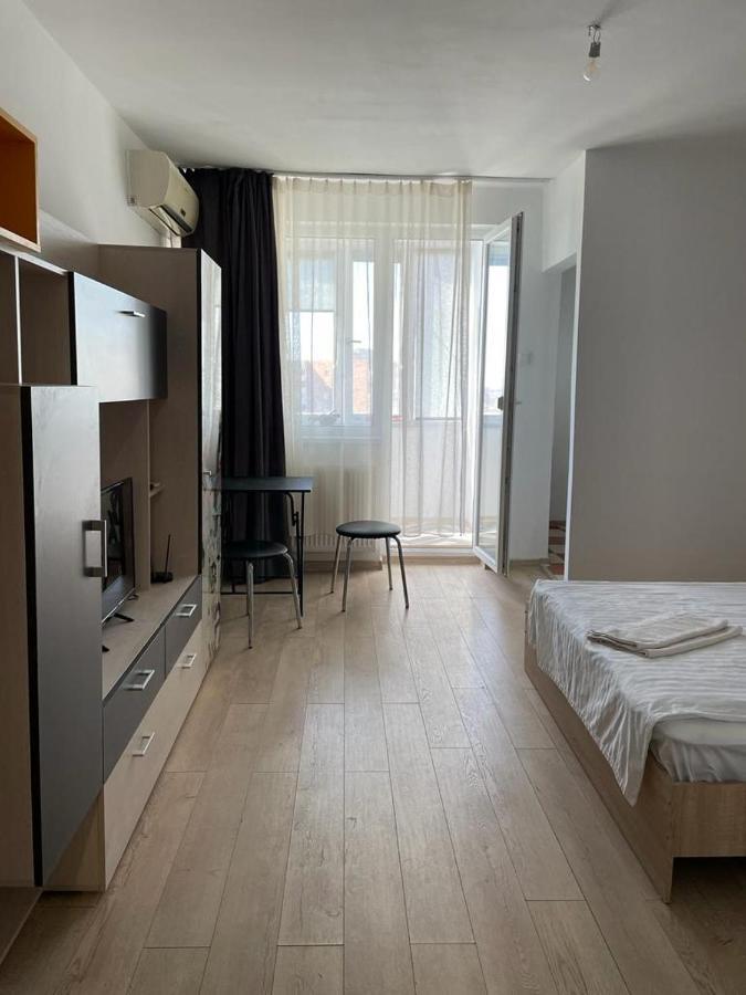 Bega Cirumvalatiunii One Room Apartment- 4 Timisoara Exterior photo